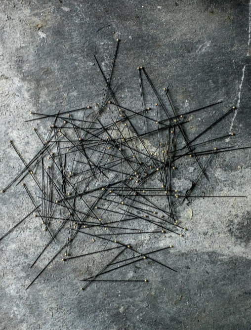 PINS