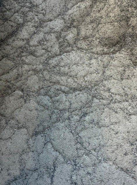 TERRAIN 100% BOILED WOOL WITH PAINTED COATING (3.2m Length)